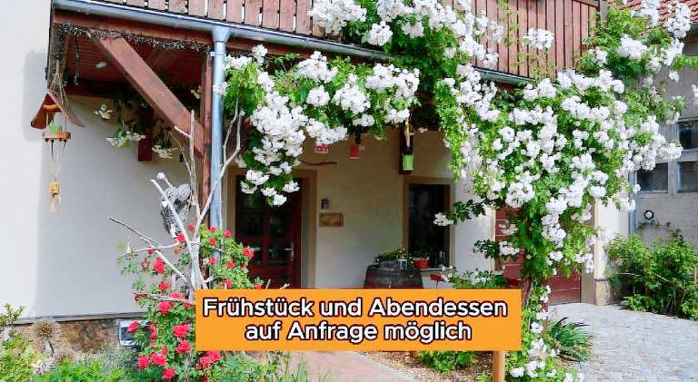 Apartment with terrace, garden & BBQ in Dresden