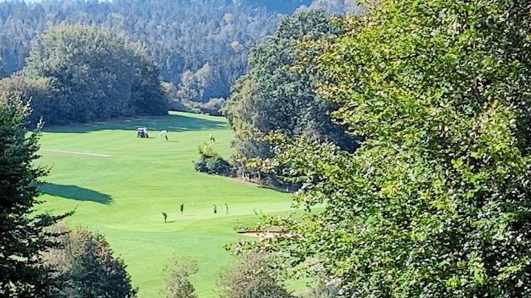 Ferienwohnung Hillstett