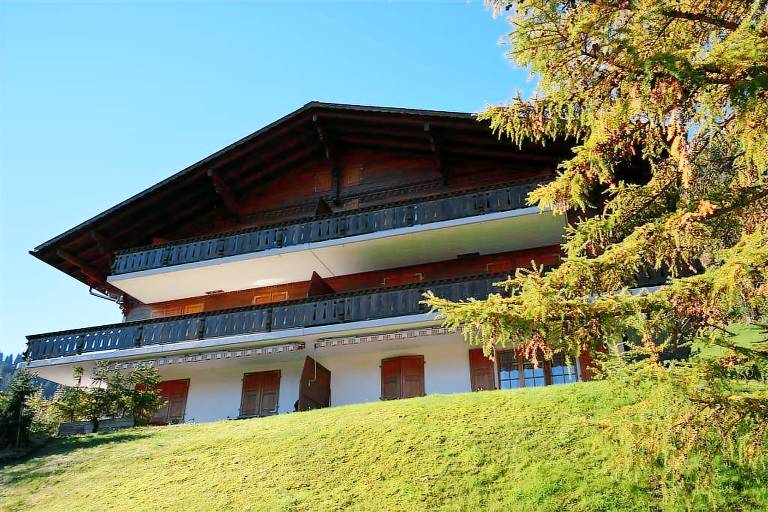Appartement  Gstaad