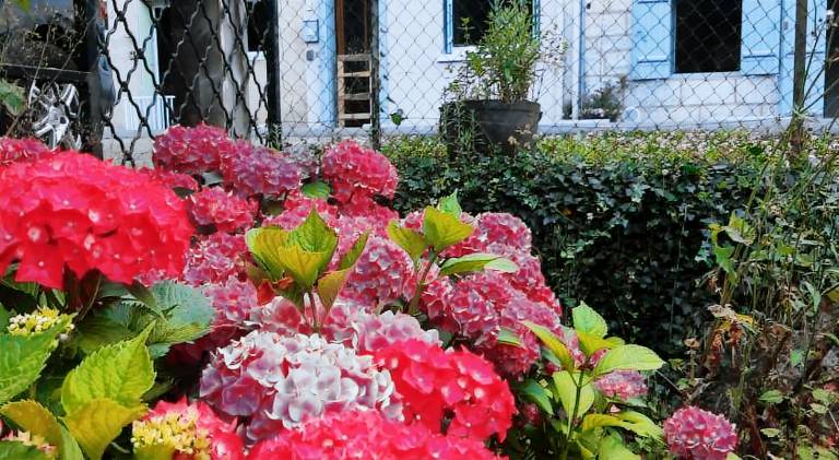 Beautiful vacation home with yard | Pets are welcome in Périgueux