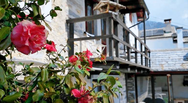 Holiday apartment with garden, barbeque & patio in Locarno