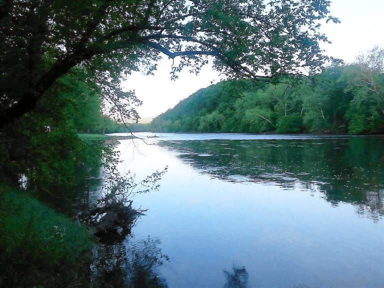 Cabin Luray