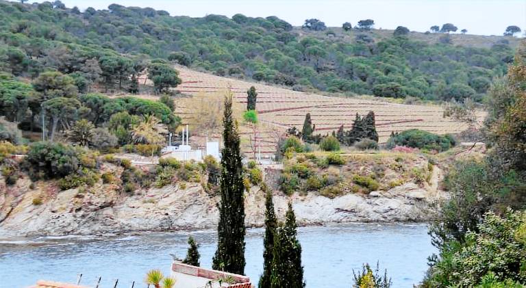 Rental apartment with 3 rooms for 6 persons in Collioure