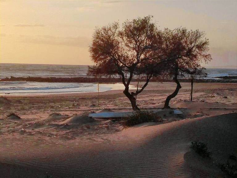 Pleasant house with garden, patio & grill | Beach nearby | Dogs allowed — photo 3