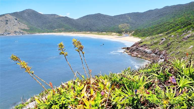 Apartamento  Lagoa da Conceição