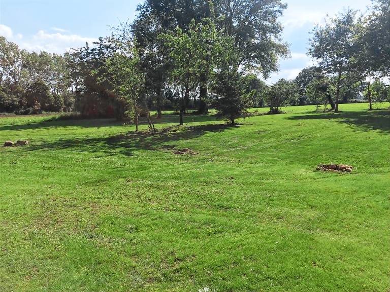 Cottage with yard — photo 3