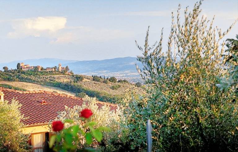 La Rocca Assisi: Ginestra — photo 4