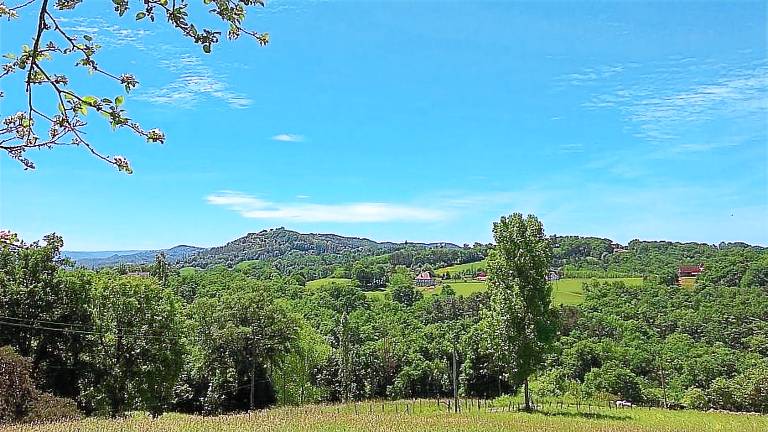 Family-oriented beautiful gite with patio, yard & barbeque | Nature view | Pets are welcome — photo 4