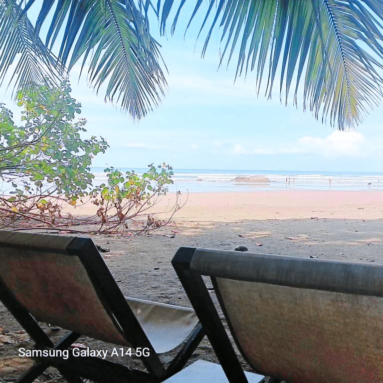 Cottage Dominical