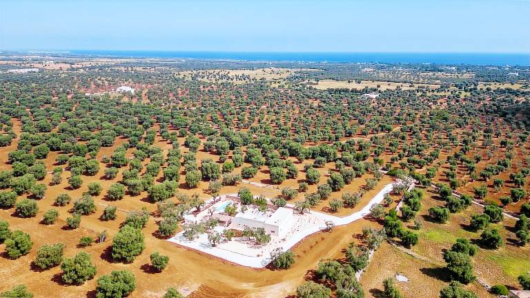 Masseria il tufo, excellent solution with private pool and parking space — photo 4