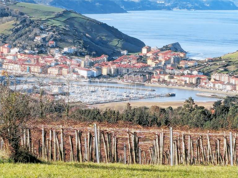 Apartamento Getaria