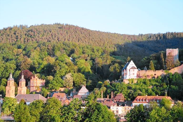 Ferienwohnung Großheubach