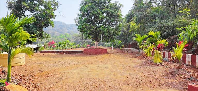 Ketki Aamrai Resort — photo 4