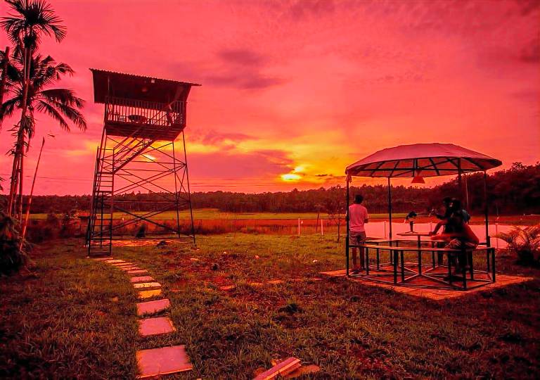Wildsidewayanad — photo 5