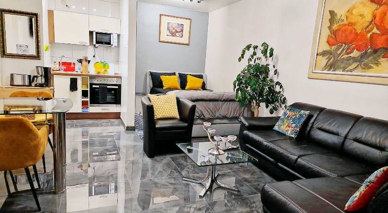 Pleasant apartment | Dogs allowed in Wiesbaden