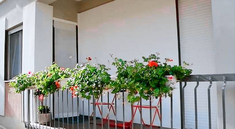 Vacation home | Pets allowed in Matera