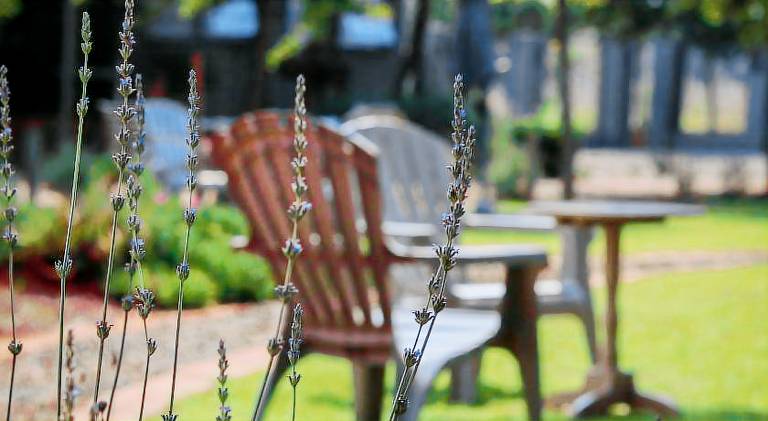 Three Thymes Inn in Pretoria
