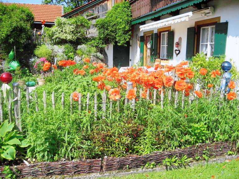 Holiday apartment with sauna | Dogs allowed — photo 5