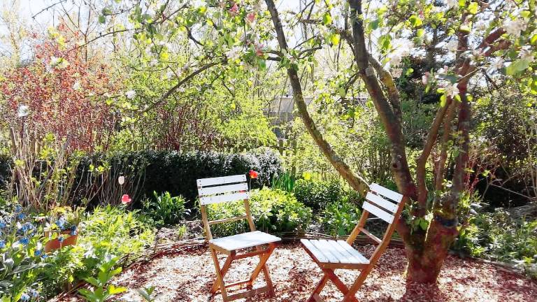 Ferienwohnung  Wesselburen