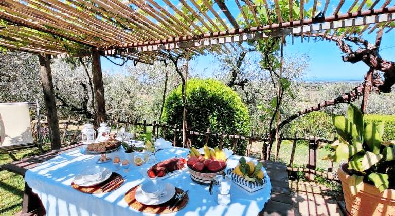 House with barbecue & yard — photo 3