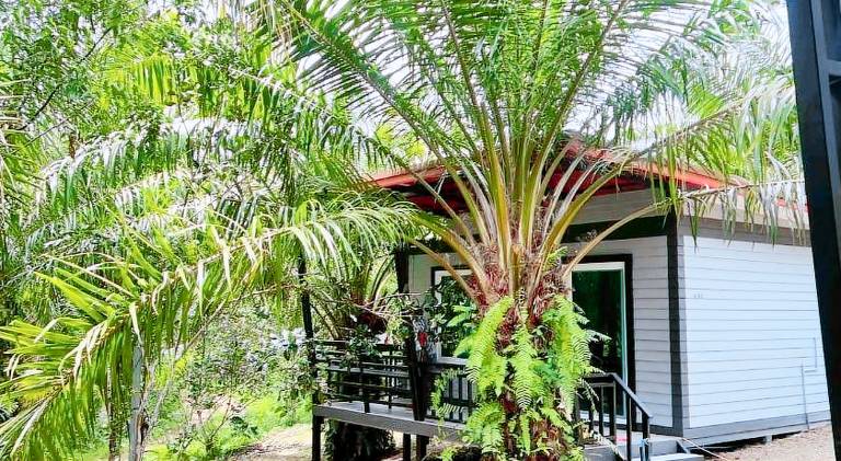 Vacation home with yard — photo 4