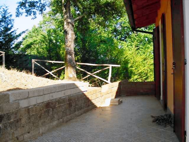 foto2