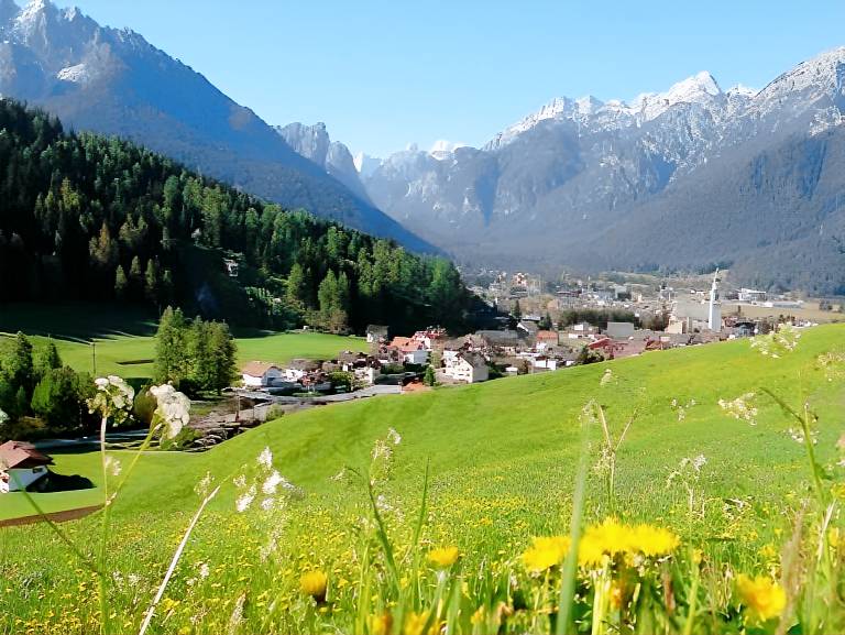 Apartment mit Hotelservice Toblach