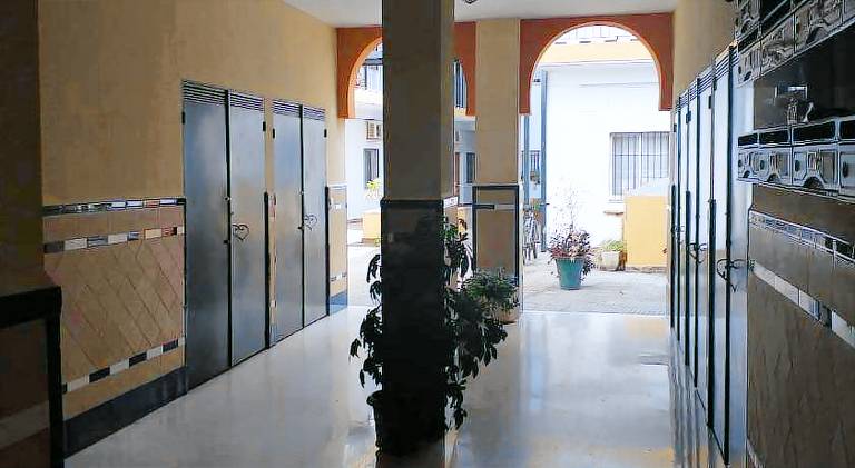 TRIANA PUREZA 12-14 — photo 3