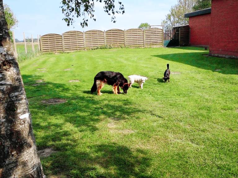 Ferienhaus Neuhaus (Oste)