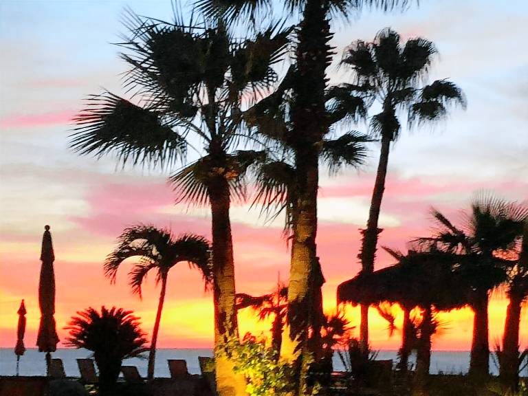 Condo San José del Cabo