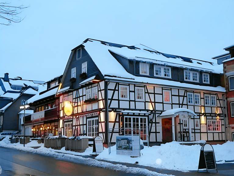 Gastehaus Dorf-Alm in Willingen