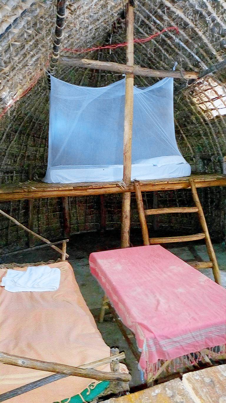 Mida Creek Eco Camp - lodge — photo 2