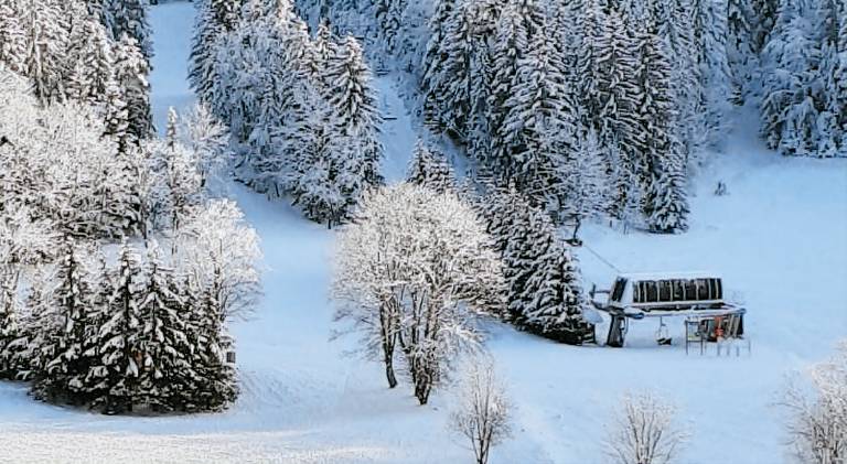 Apartment | Next to the ski | Pets are welcome in Villard-de-Lans