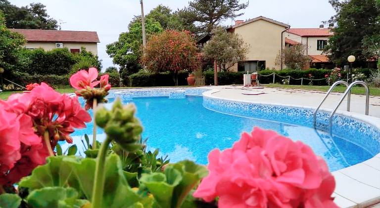 Farm with pool — photo 2