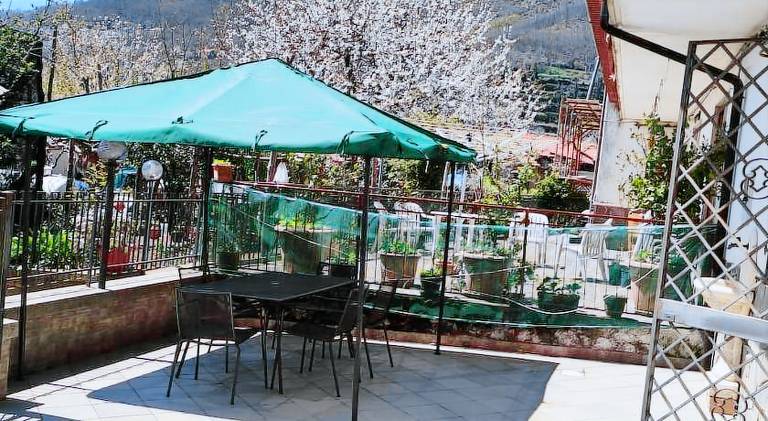 Pleasant rental apartment | Pets are welcome in Agerola