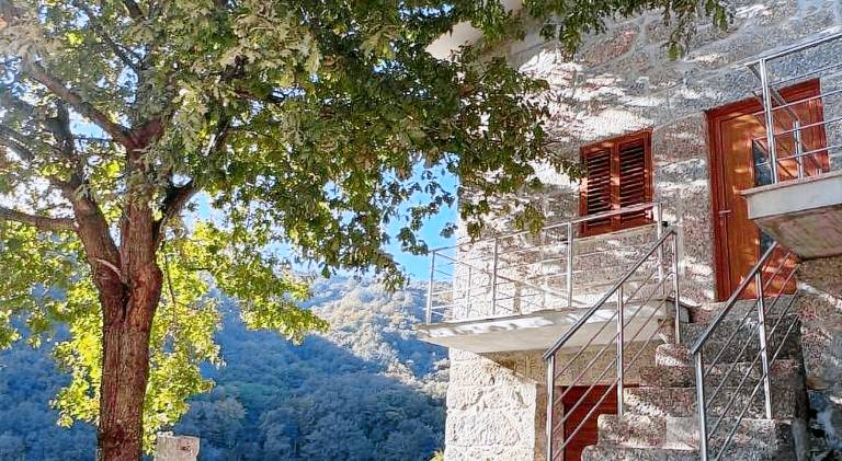 House with 3 rooms for 8 persons in Viseu