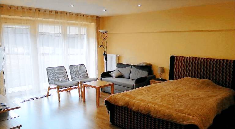 Holiday apartment | Close to the beach | Pets allowed in Druskininkai