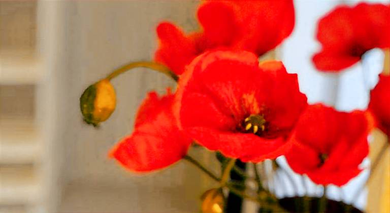 foto4