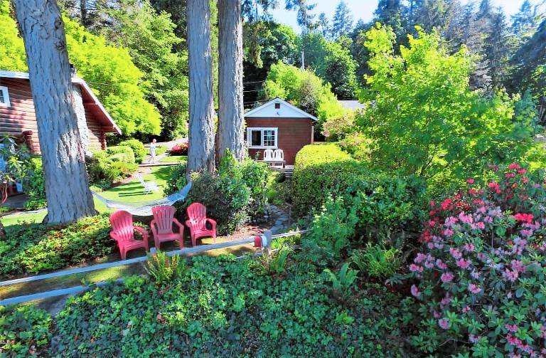 Cabin Anderson Island