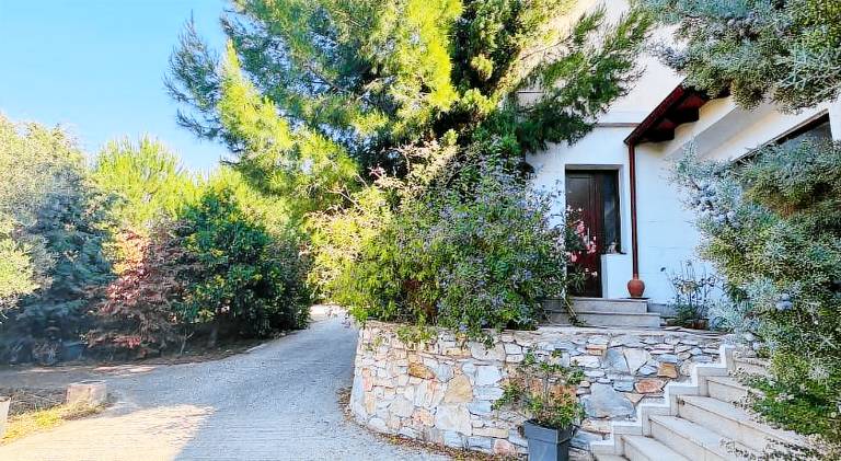 Holiday apartment | Dogs allowed — photo 3