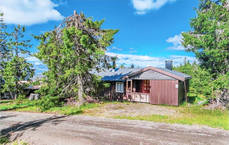 Feriehus Sjusjøen
