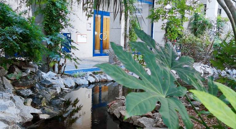 Rental apartment with yard & terrace | Near Igreja do Carmo | Suitable for remote work — photo 5