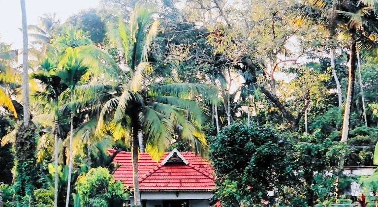 Eden cabana in Ambalapuzha