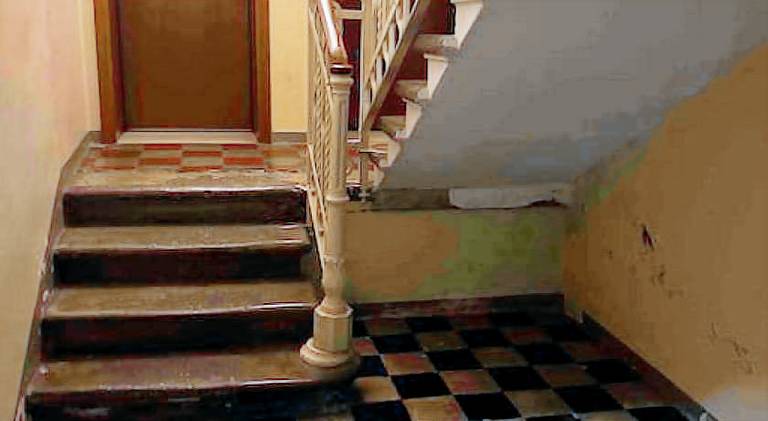 Charming rental apartment | Pet-friendly — photo 5
