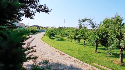 ház  Oradea