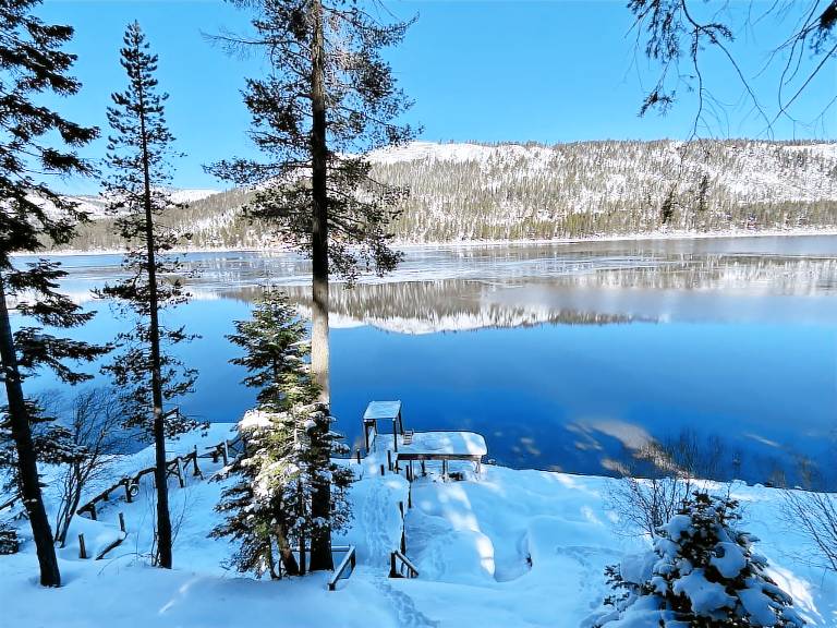 Cabin Donner Lake