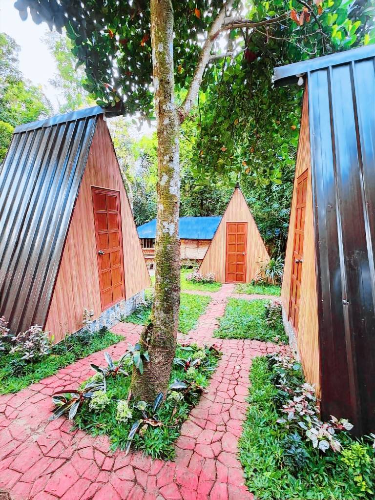 Villa with garden & pool — photo 4