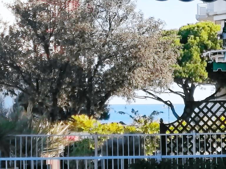 Wonderful rental apartment with pool & patio | Close to the beach | Pets are welcome — photo 3