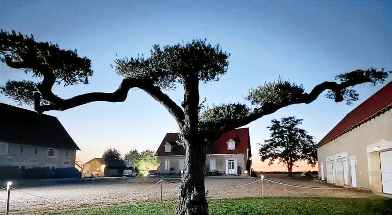 Chambre d hotes dans un domaine au calme proche du Pal — photo 4