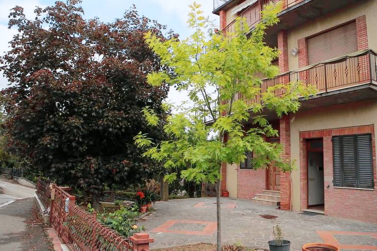 Casa Foiano della Chiana